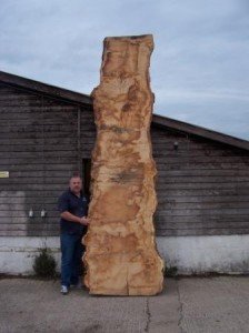 rough edge timber
