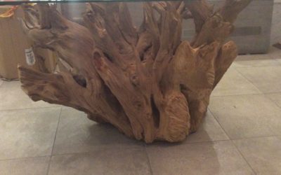 Tree root dining tables